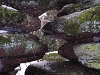 beckenfels02