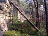 central09