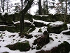 pan_ce03