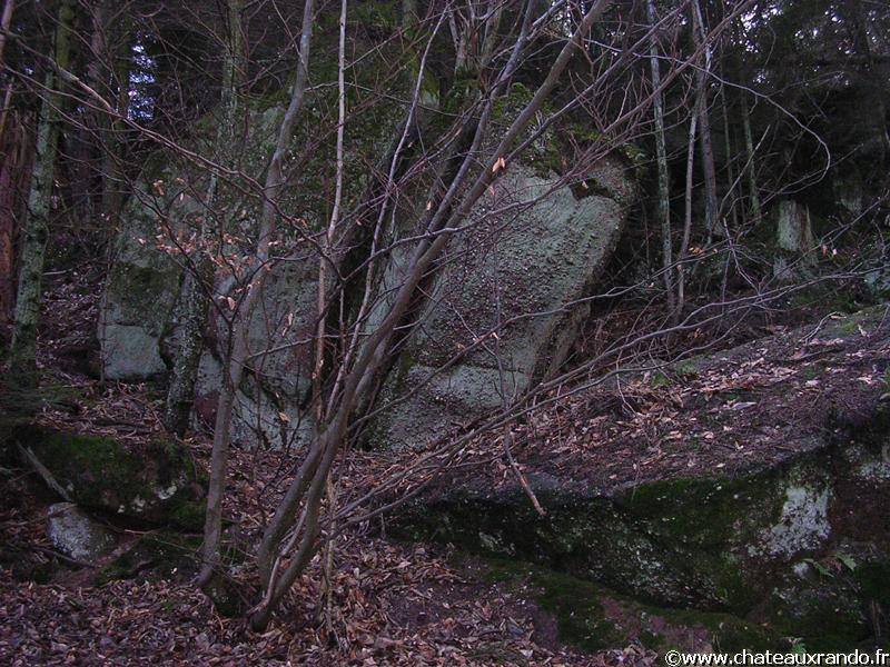nord25